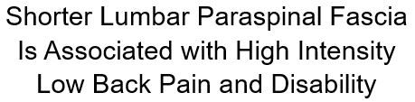 fascia muscular fáscia lombar paraespinhais coluna costas dor nas costas dor na lombar massagem artigo cientifico